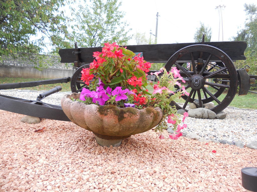 Bed & Breakfast Pervinca 3*
