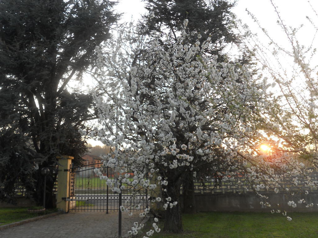Bed & Breakfast Pervinca