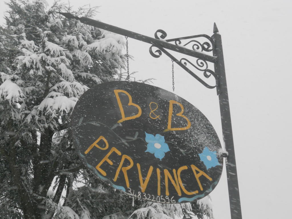 Pervinca 3*